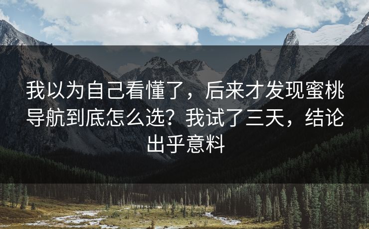 我以为自己看懂了，后来才发现蜜桃导航到底怎么选？我试了三天，结论出乎意料