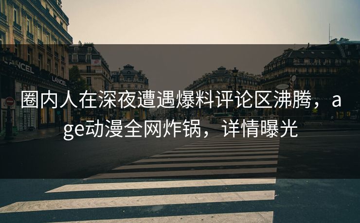圈内人在深夜遭遇爆料评论区沸腾，age动漫全网炸锅，详情曝光